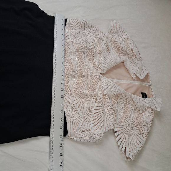 Tadashi Shoji Two Tone Lace Sheath Dress Size 16 - Picture 14 of 16